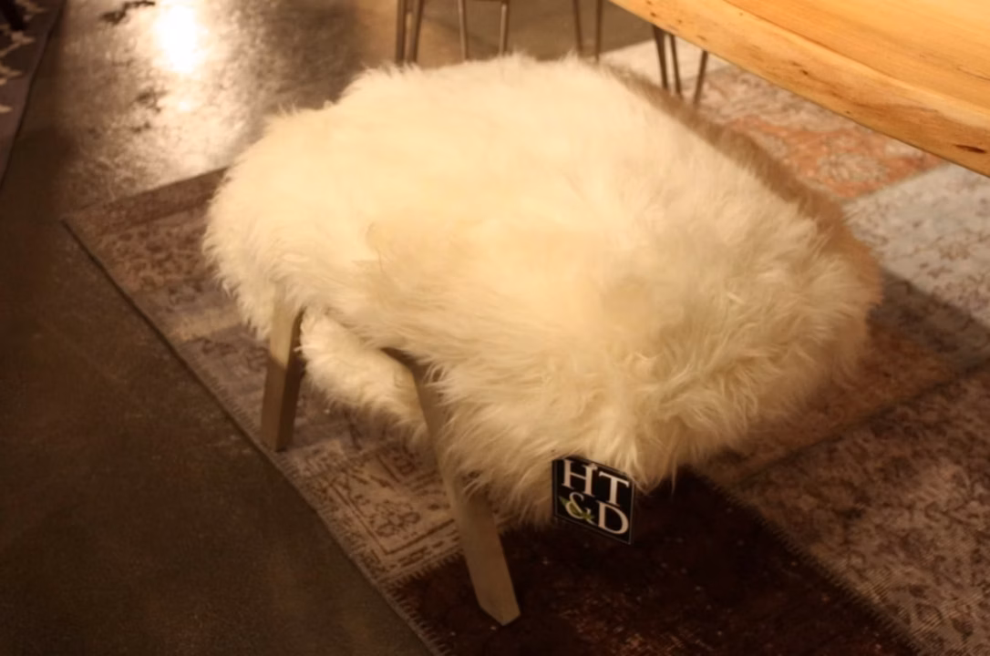 Dites adieu à IKEA : JYSK séduit avec son fauteuil zèbre ultra-tendance qui fait fureur partout !